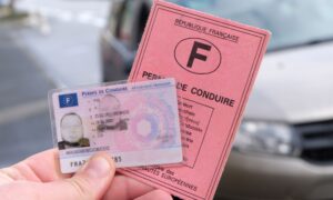 permis de conduire francais